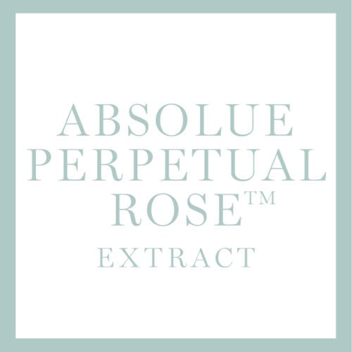 Absolue Perpetual Rose Extract ingredient
